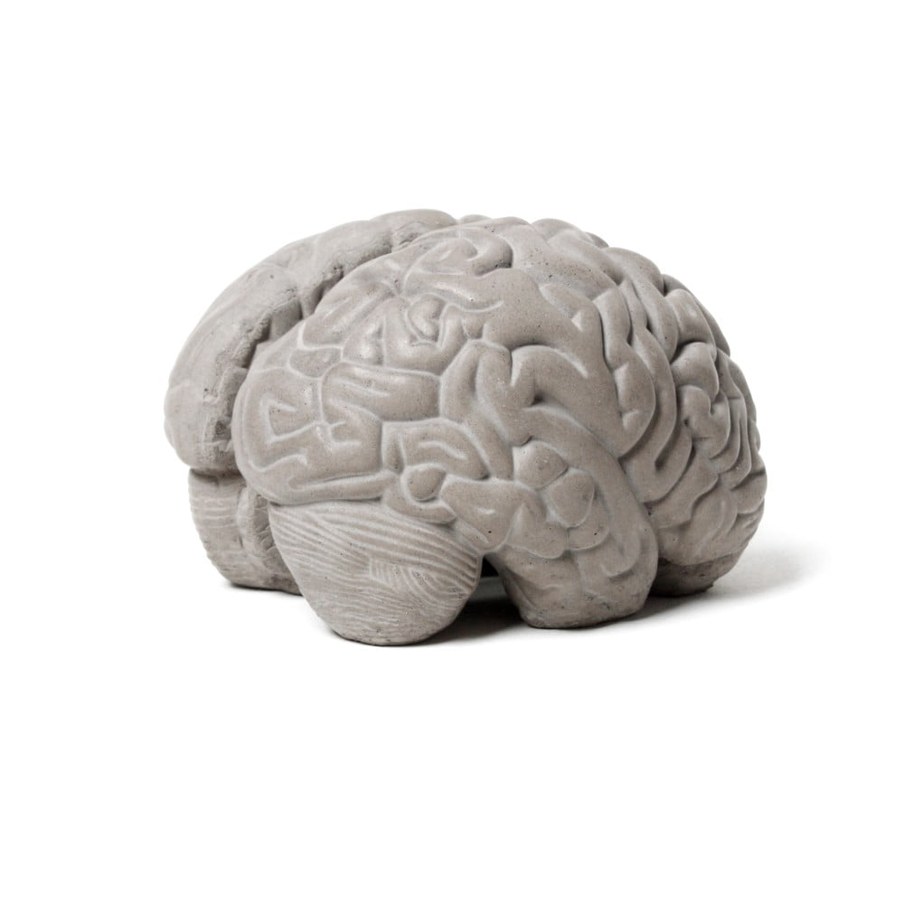 Gray Matters beton könyvtámasz - Lyon Béton