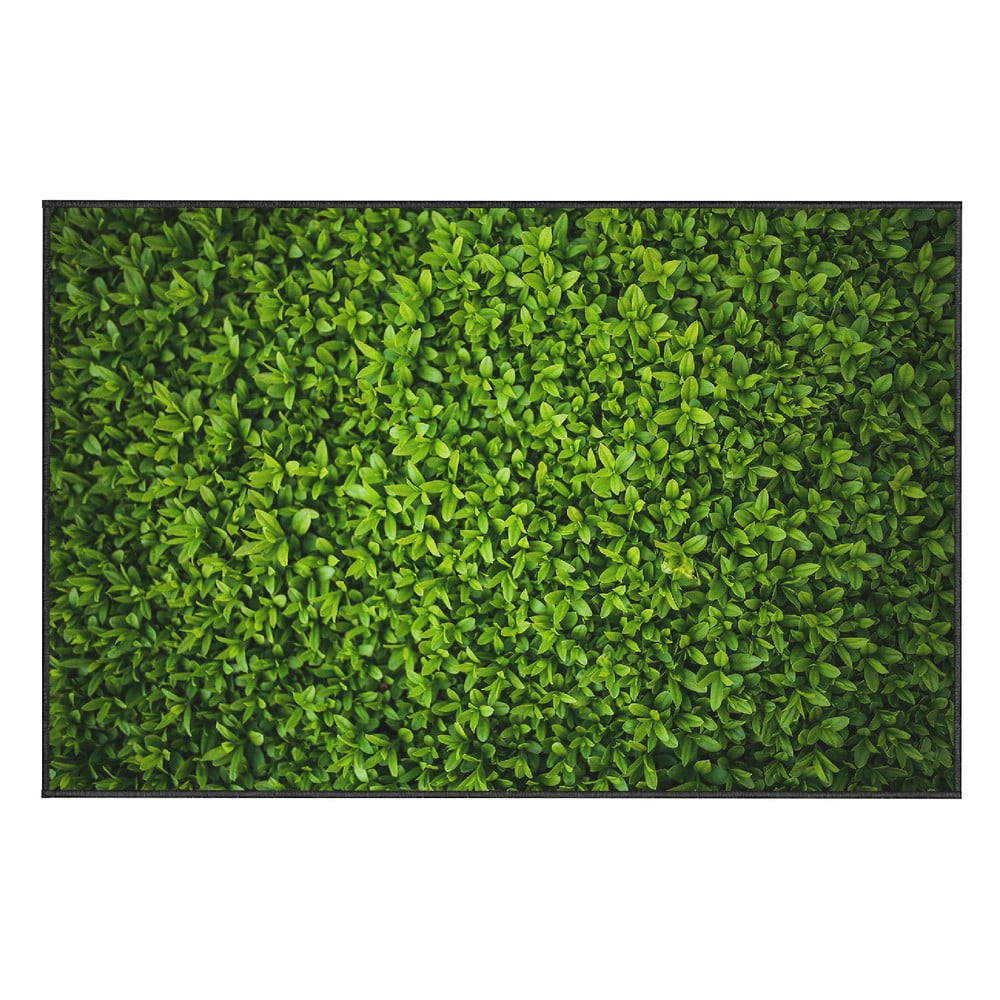 Ivy zöld szőnyeg