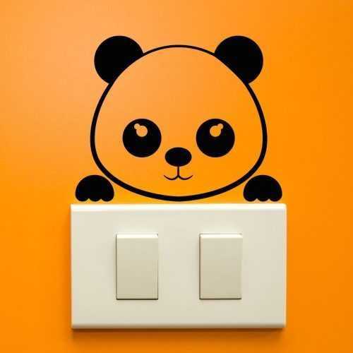 Panda Plug falmatrica - Ambiance