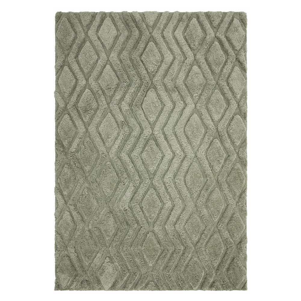 Zöld szőnyeg 170x120 cm Harrison - Asiatic Carpets