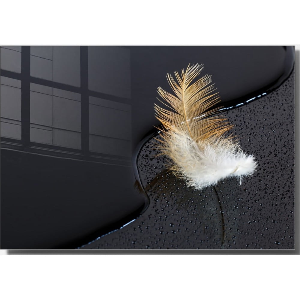 Üveg kép 70x50 cm Feather – Wallity
