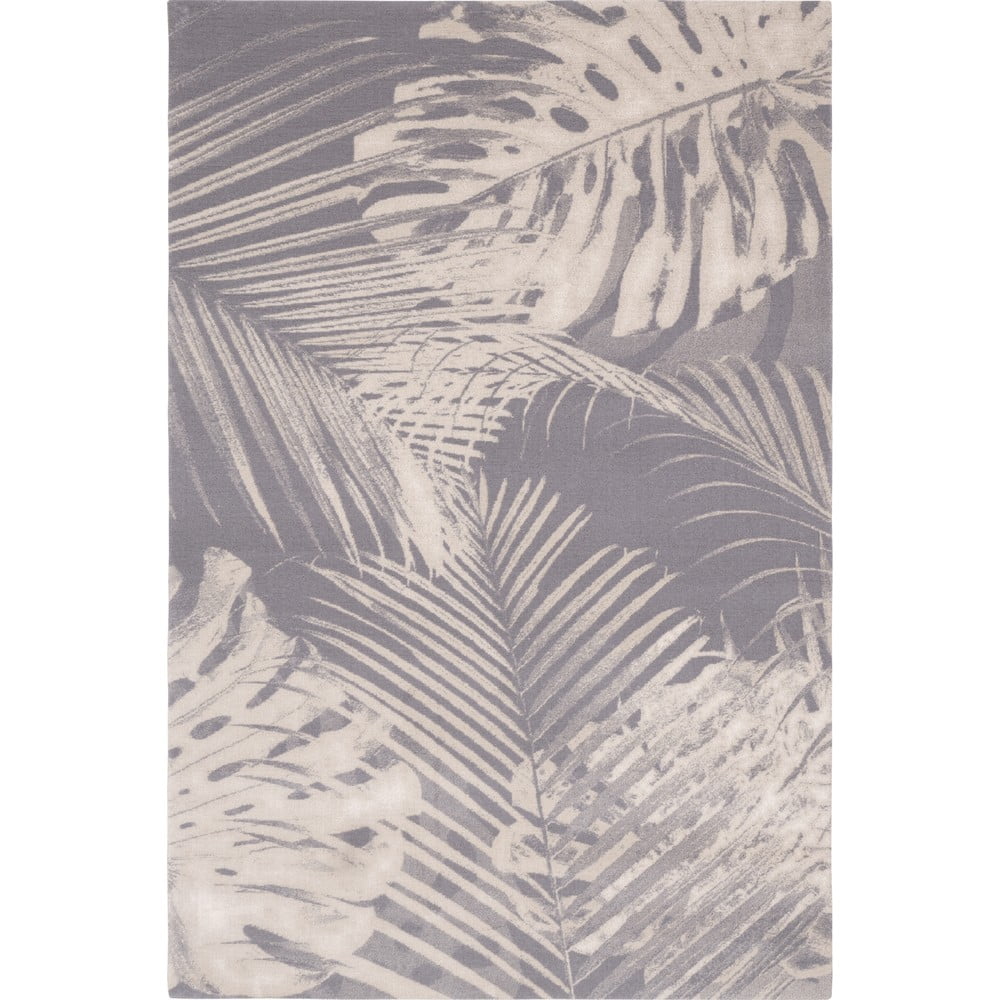 Szürke gyapjú szőnyeg 200x300 cm Monstera – Agnella