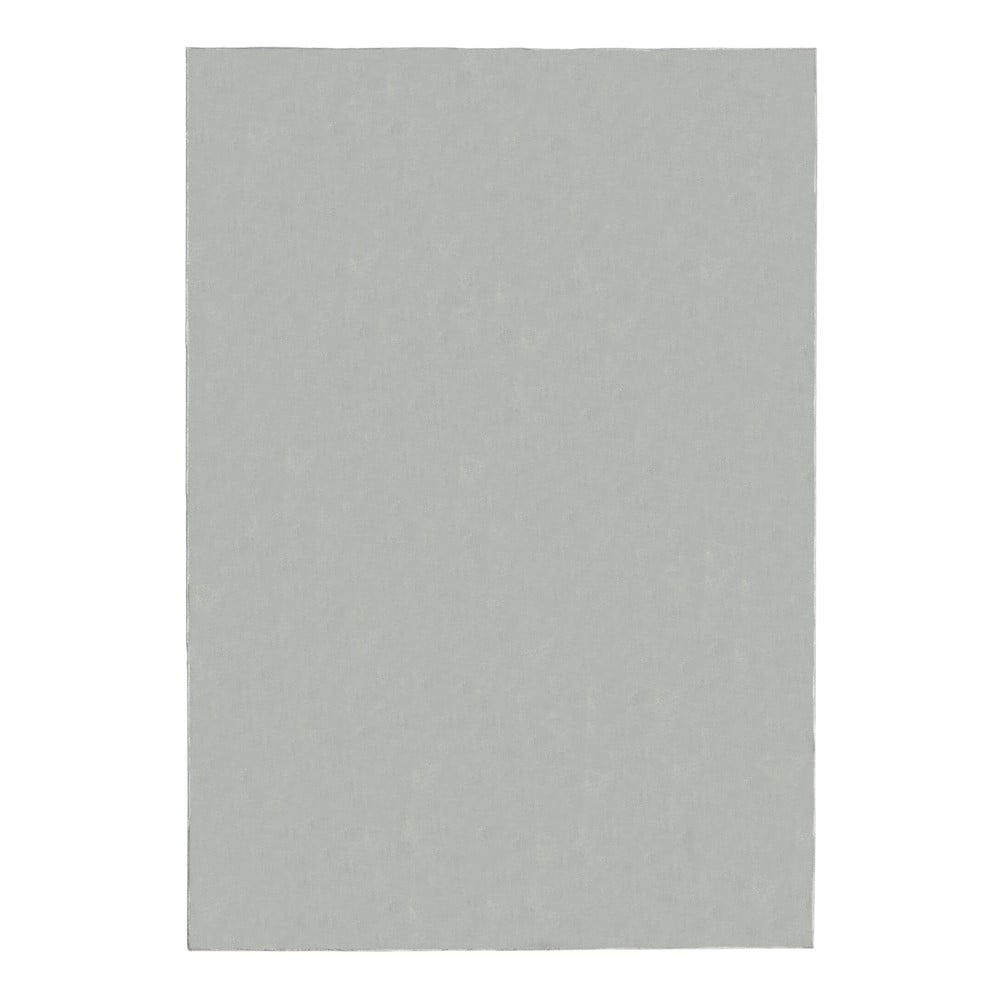 Világosszürke szőnyeg 80x150 cm – Flair Rugs