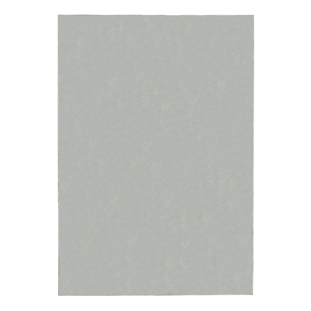 Világosszürke szőnyeg 60x110 cm – Flair Rugs