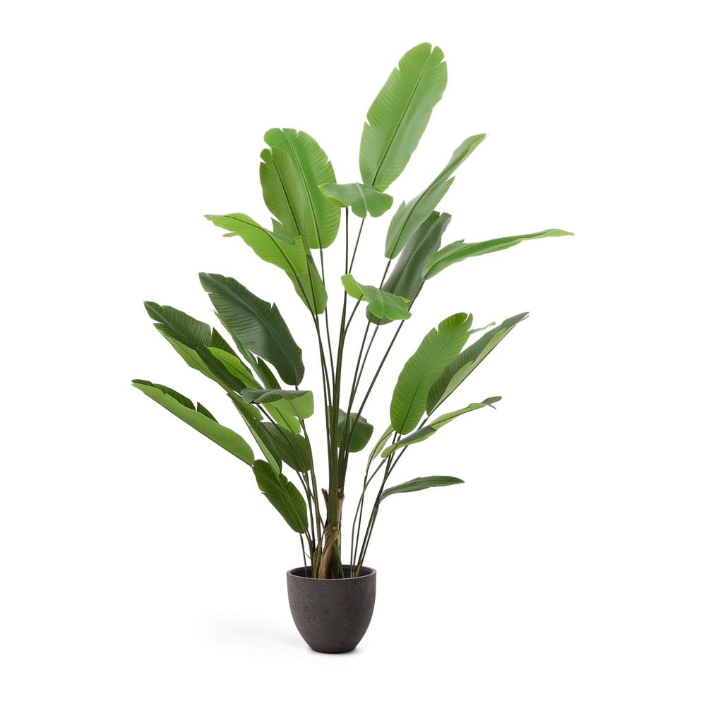 Banánfa műnövény (magasság 210 cm) – Kave Home