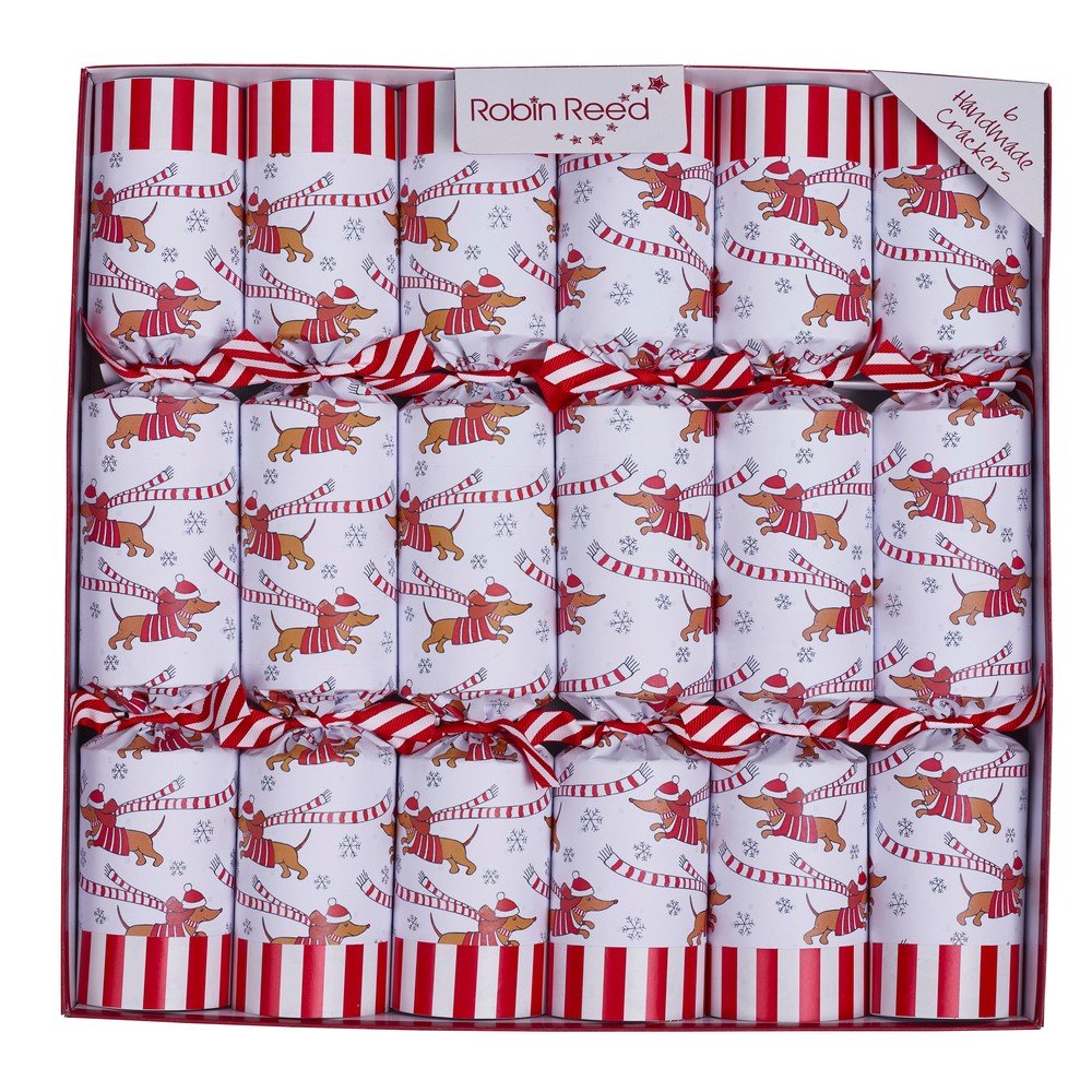 Karácsonyi cracker szett 6 db-os Racing Sausage Dog – Robin Reed