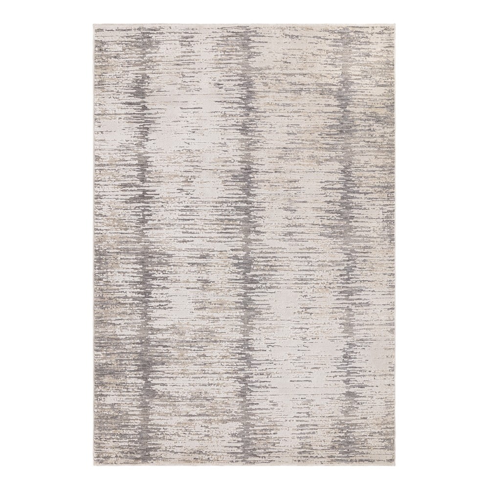 Szőnyeg 160x240 cm Anders Grey – Asiatic Carpets
