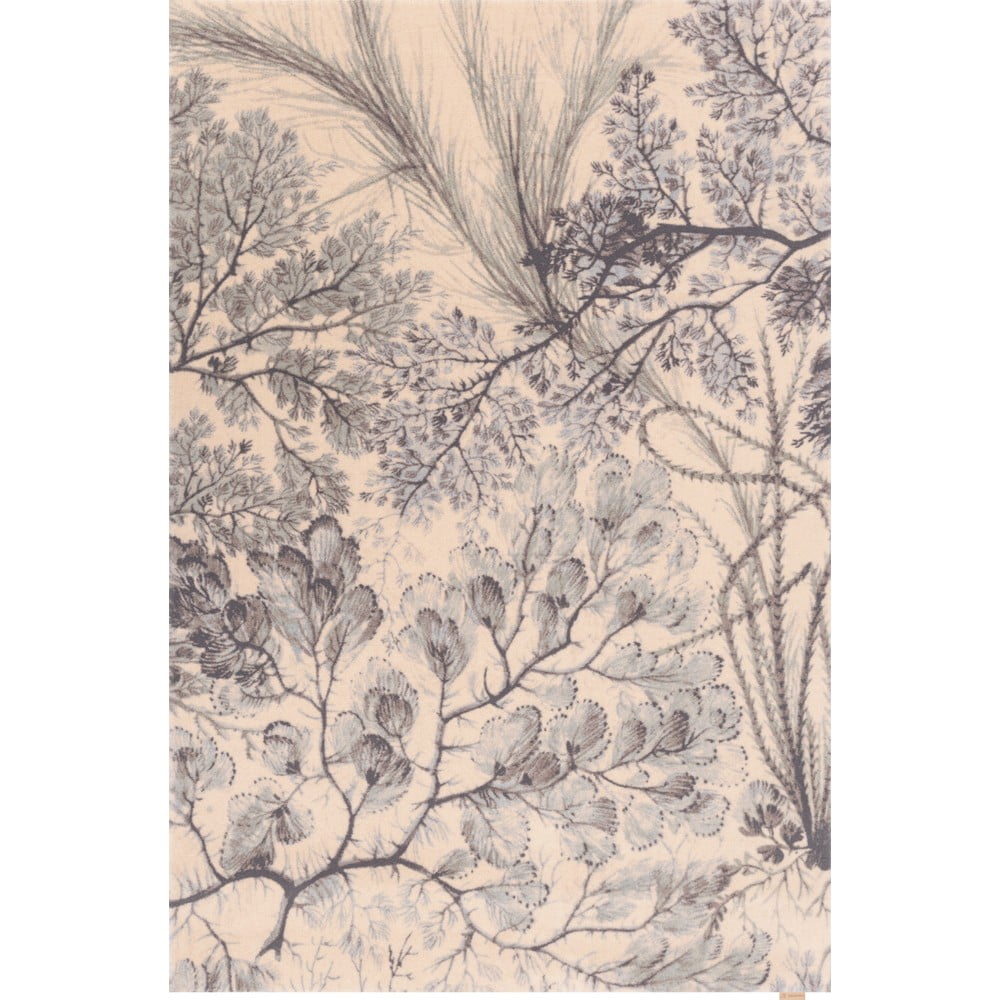 Mentazöld-bézs gyapjú szőnyeg 200x300 cm V&A Calisia Kelp – Agnella