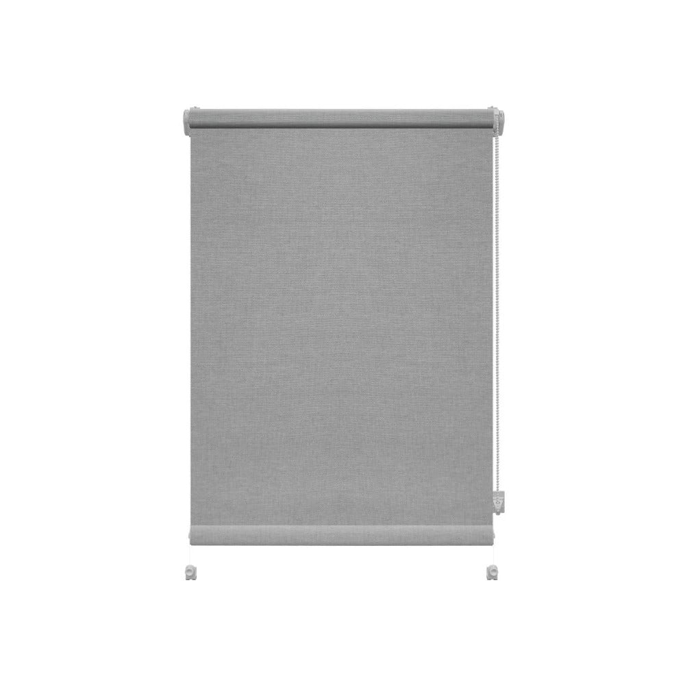 Világosszürke roló 57x150 cm Mini Faro – Gardinia