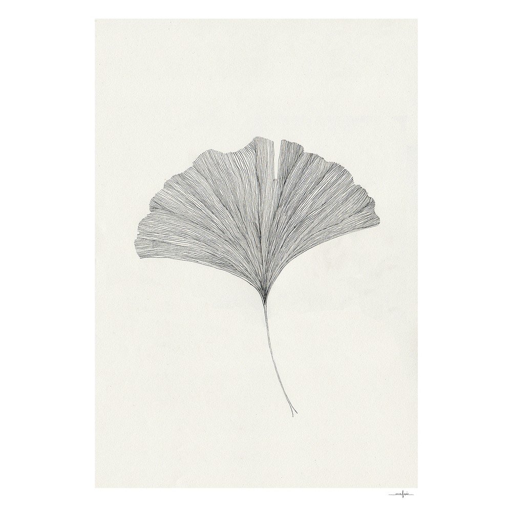 Poszter 50x70 cm Ginkgo Leaf – Ana Frois – The Poster Club